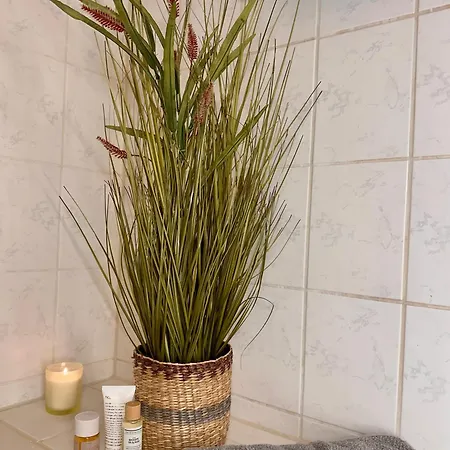 Schnuckenstube Souterrain Im Gruenen Apartment Schneverdingen