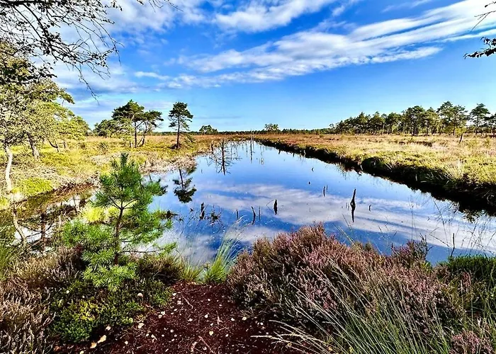 公寓 Schnuckenstube Souterrain Im Gruenen *